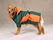 XX-LARGE - Base Camp Dog Parka