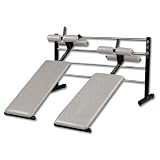 Champion Double Ladder Sit Up Station Gym Equipment