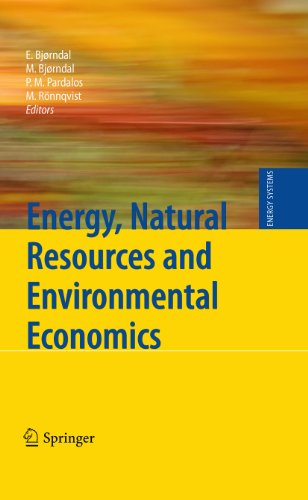 Energy, Natural Resources and Environmental Economics (Energy Systems)
