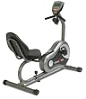 Ironman 125 Recumbent Exercise Bike