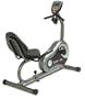 Ironman 125 Recumbent Exercise Bike