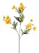 Faux 21 Wild Cosmos Spray Yellow (Pack of 12)