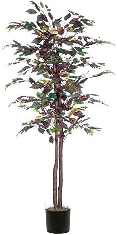 Vickerman Christmas Trees TEC0560-07 Nisswa Berry Mystic Ficus Tree in Pot, 6-Feet, Green Dark