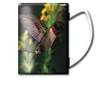 Impact Photographics Mug 14 Ounce Ruby Throated Humbird Gorgeous Photo
