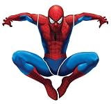Spider-Man Wall Decals & Murals