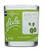 Glade Relaxing Moments Candle, Garden Retreat, 4-Ounce (Pack of 2)