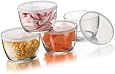 Libbey Glass Storage Bowls with Plastic Lids, 16-Ounce, Clear (4 Bowls , 4 Lids)