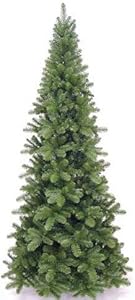 Come Sbarazzarsi delle Formiche