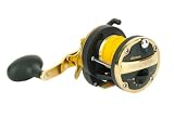 Okuma  Magnetix 20 CS Beach Multiplier Reel
