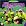 The Aquabats!