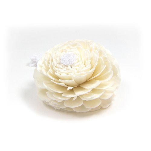 See PEABODY & PAISLEY Time Release Air Freshener Replacement- Carnation