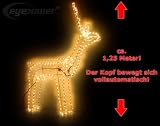 Rudolph/Rentier - 3D beleuchtet, mit Bewegung!
