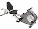 Stamina 15-9003A Deluxe Conversion II Recumbent Exercise Bike /