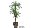 One 6' Cycas Artificial Palm Tree with Tripled Heads _Plastic Fronds