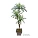 One 6' Cycas Artificial Palm Tree with Tripled Heads _plastic Fronds, with No Pot,