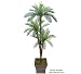 One 6' Cycas Artificial Palm Tree with Tripled Heads _Plastic Fronds
