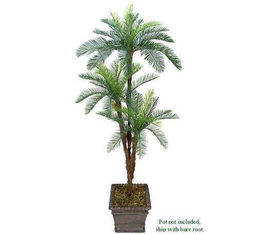 One 6' Cycas Artificial Palm Tree with Tripled Heads _Plastic Fronds