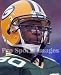 Ahman Green Green Bay Packers 8x10 Photo
