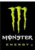 NEOPlex 13 x 18 Garden Banner Flag - Monster