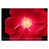 Visit This External Website