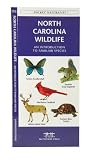 North Carolina Wildlife: An Introduction to Familiar Species (State Nature Guides)