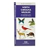 North Carolina Wildlife: An Introduction to Familiar Species (State Nature Guides)