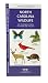 North Carolina Wildlife: An Introduction to Familiar Species (State Nature Guides)