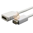 Mini-DVI to HDMI (female) Adapter Cable for Apple Mac