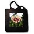 Sale Kike Calvo Panama - Portrait of Don Francisco Serracin, founder of Don Pachi Estate, holding whole Geisha coffee beans - Tote Bags