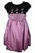 Laura Ashley Toddler Girls Fall/Winter Purple Velvet and Silk Boutique Holiday Christmas Dress