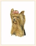 Fiddlers Elbow Yorkshire Terrier Blank Box Note Cards