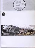 REPLICANT RUMBA ROCKERS - A RATHER INTERESTING MIX - LP VINYL
