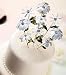 WILTON FLOWER PICK CAKE TOPPER