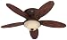 Hunter HR20717 52 Tuscan Gold Ceiling Fan with Light