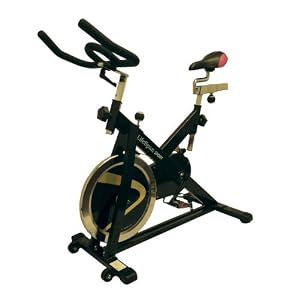 LifeSpan Fitness S2 Indoor Cycling Bike Best Buy