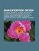 Java Enterprise Edition: JSP, Spring Framework, Richfaces, Java Platform, Enterprise Edition, JavaServer Faces, Apache Velocity, Apache Tomcat