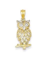 14k & Rhodium Owl Pendant, Best Quality Free Gift Box Satisfaction Guaranteed