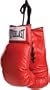 Everlast Autograph Gloves