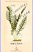 Books : The Gardener's Year   [GARDENERS YEAR] [Paperback]