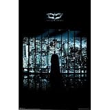 The Dark Knight Movie (Batman Against Windows) Poster Print - 22x34 Poster Print, 22x34 Poster Print, 22x34