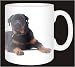 Kitchen & Housewares : Rottweiler Dog Coffee Mug