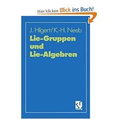 Lie-Gruppen und Lie-Algebren