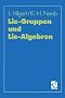 Lie-Gruppen und Lie-Algebren
