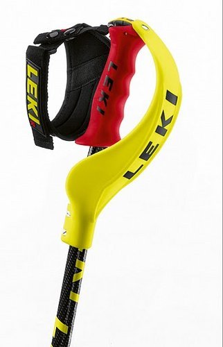 Closed Gate Guard WC (TS)