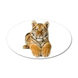 38.5x24.5O Wall Vinyl Sticker Bengal Tiger Youth