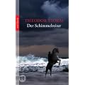 Der Schimmelreiter: Novelle (insel taschenbuch)
