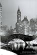 (24x36) New York City Central Park 1961 Photo Art Print Poster