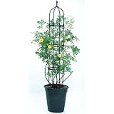 ��o���p��200cm�I�x���X�N��38cm���[�A�|�b�g