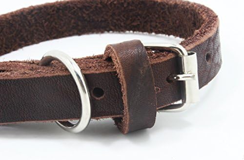 Durable Real Leather Small Dog Collar with Metal Buckle