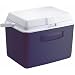 Rubbermaid 24-Quart Ice Chest Cooler, Blue